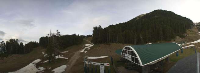 Masella - Cap del Bosc