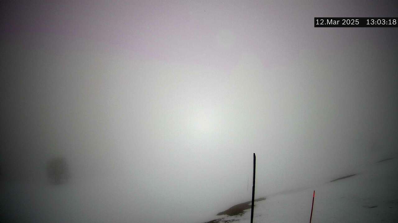 Webcam Skilift Gitschenen, Uri, 1575m - bergfex