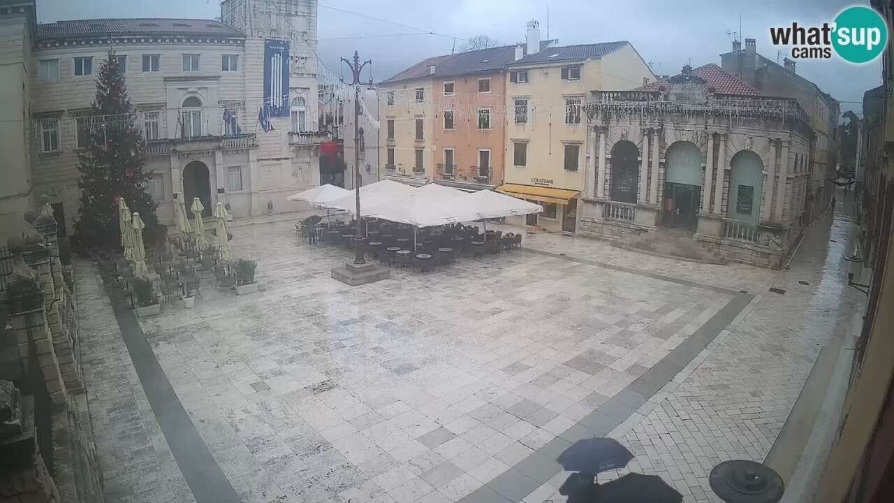 cam Zadar Narodni trg “People’s square”, Zadar, 0m bergfex