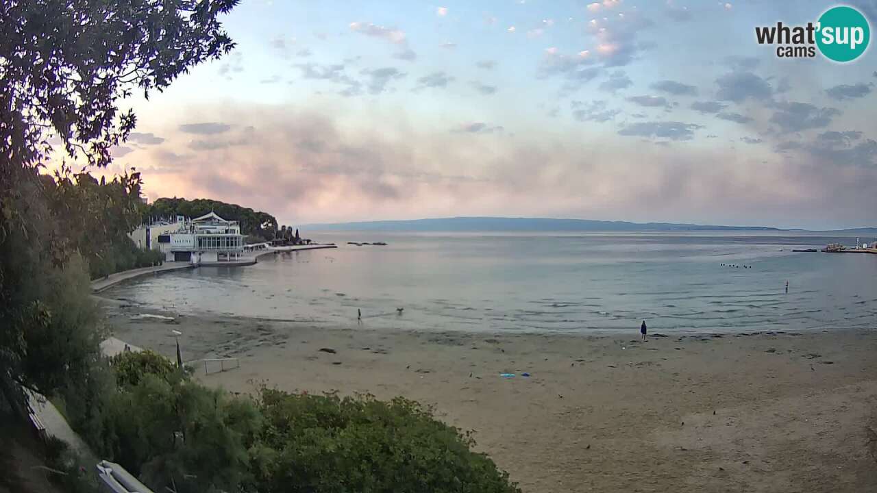 bacvice live camera