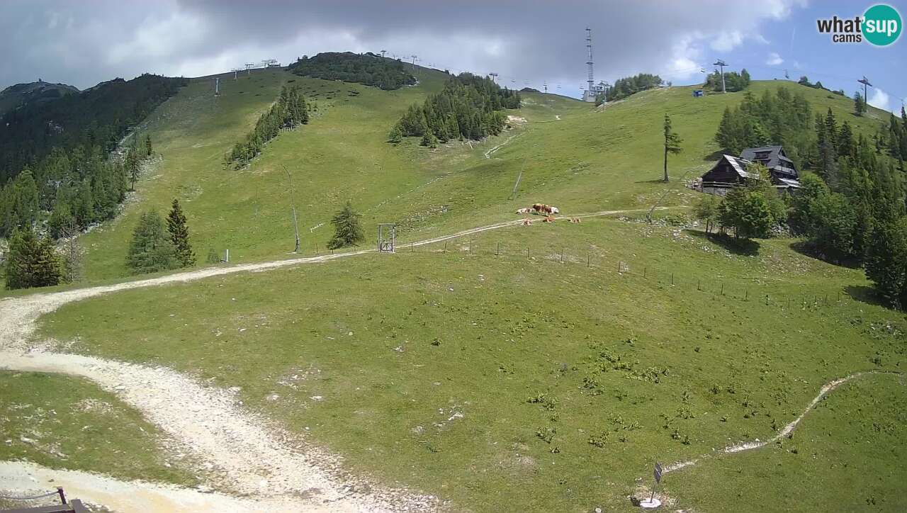 bergfex - Webcam Krvavec - Ski Resort - Krvavec - Cam View from upper skilift station - Livecam