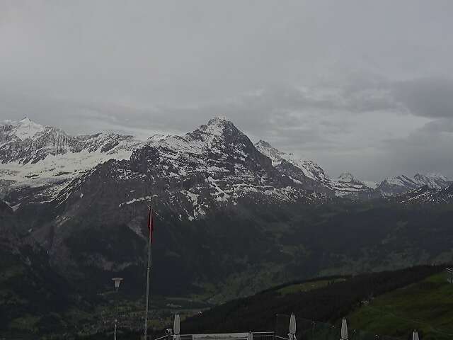 BERGFEX: Ski resort Jungfrau Ski Region Grindelwald - Wengen - Skiing  holiday Jungfrau Ski Region Grindelwald - Wengen