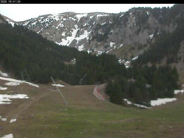 Masella - Isards