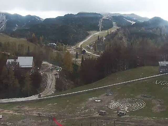 Vogel Slika