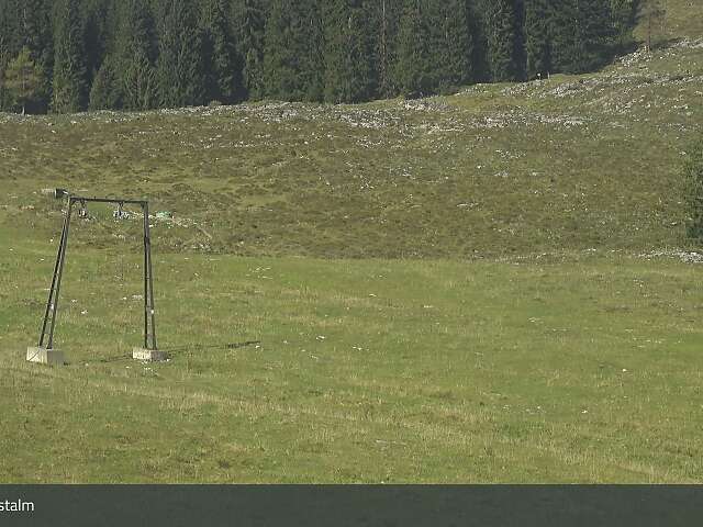 Postalm Zauberteppich