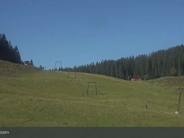 Postalm Zauberteppich