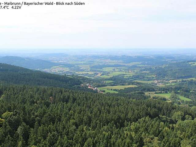 WaldWipfelWeg