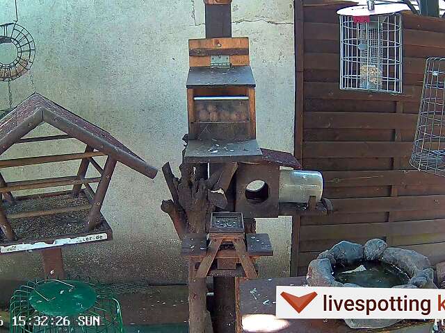 Köln Lindweiler, Futterstelle