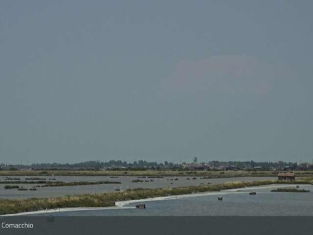 Salina di Comacchio
