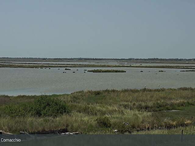 Salina di Comacchio