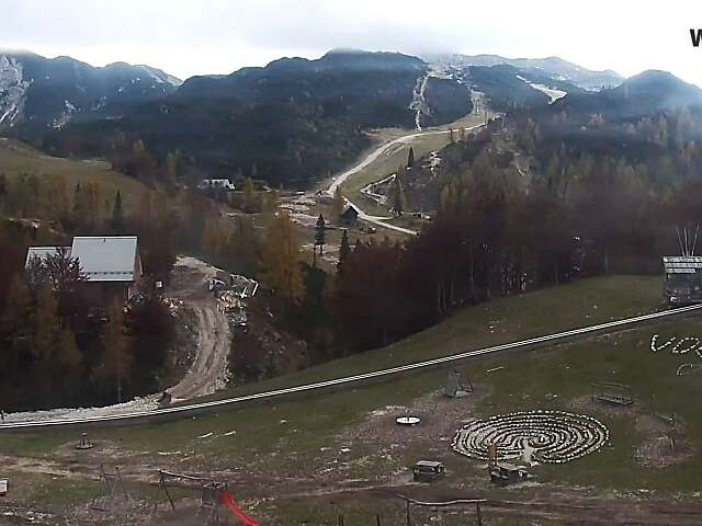 Vogel Bergstation