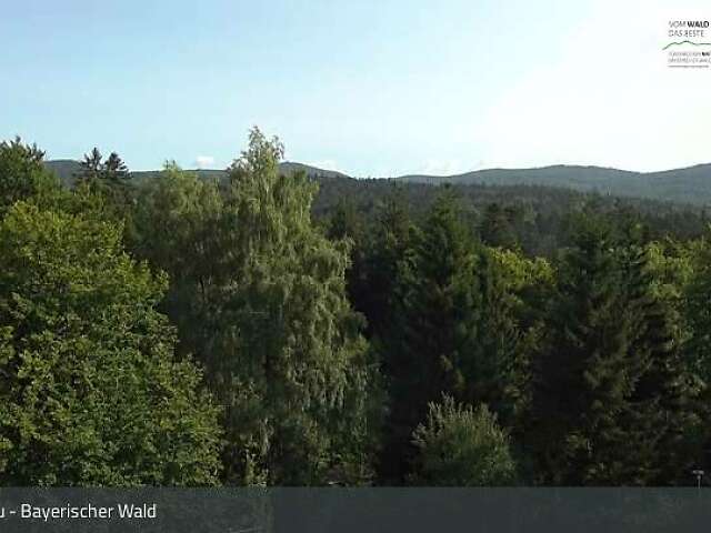 Webcams in Grafenau - bergfex