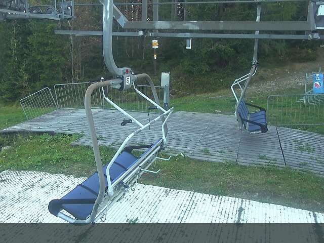 Žalý