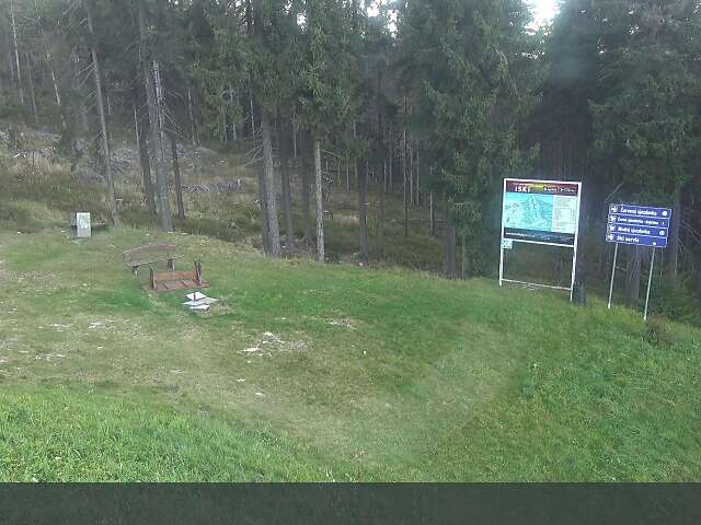 Žalý