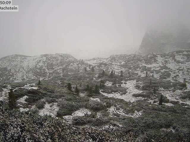 Wiesberghaus