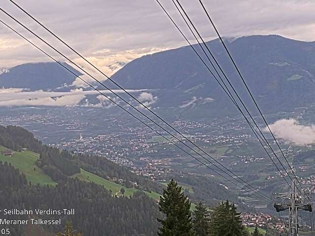 Verdins-Tall Bergstation