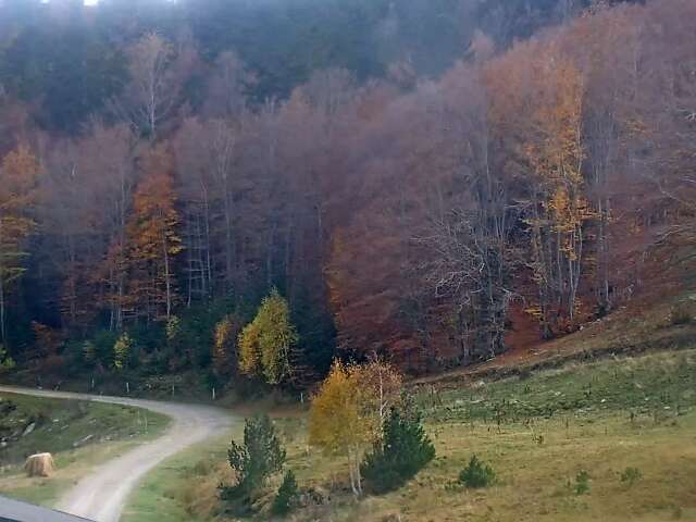 Mijanès