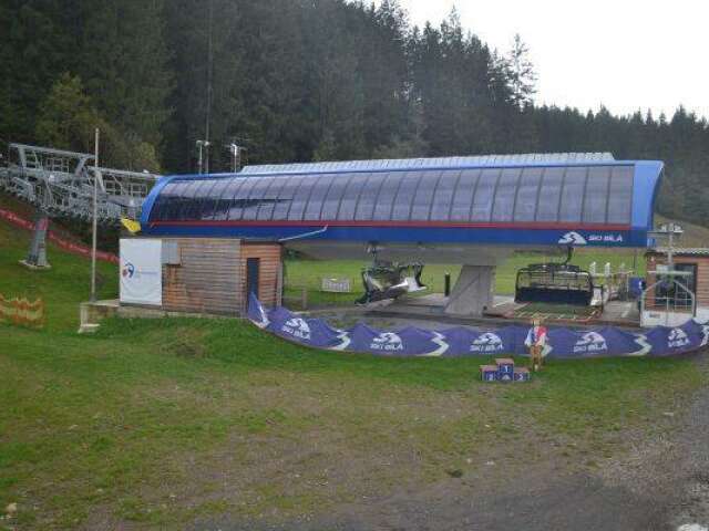 Bílá