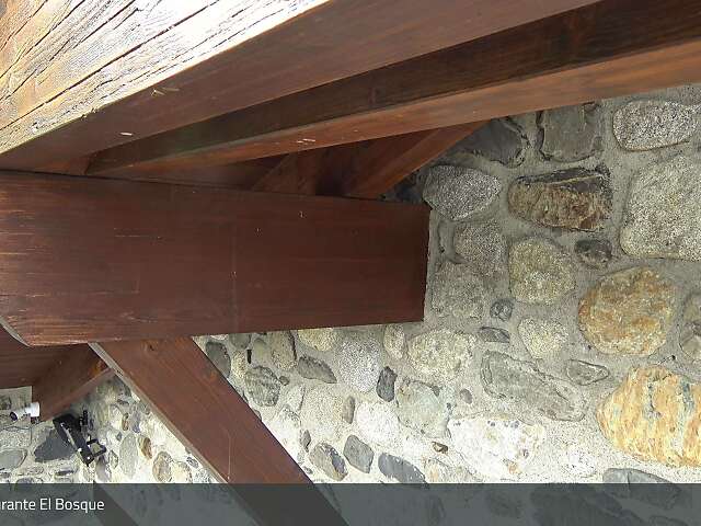 Restaurante El Bosque