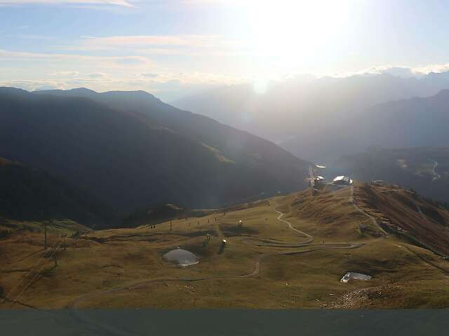 Königsleiten - Wald im Pinzgau