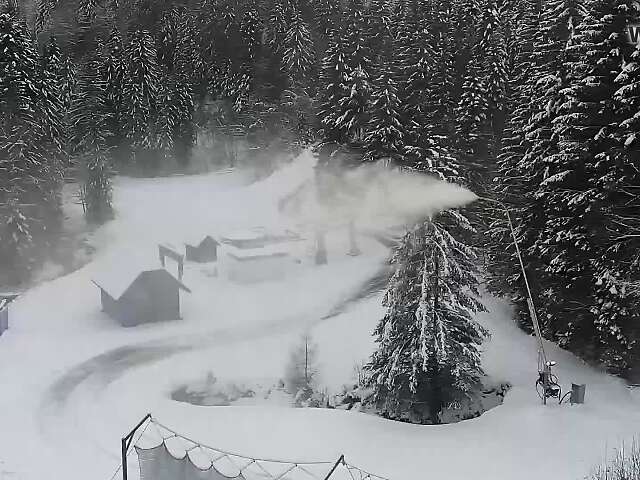 Rogla Apartments Dandi