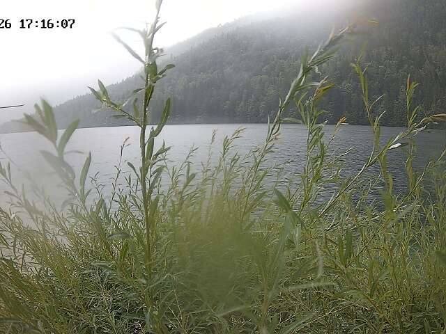 Seebad Lunz auf den See