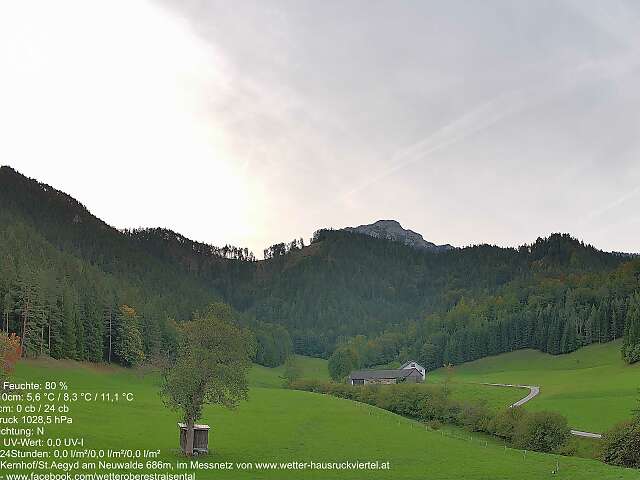 Kernhof - St. Aegyd am Neuwalde