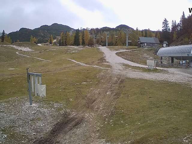 Vogel - Snow Park