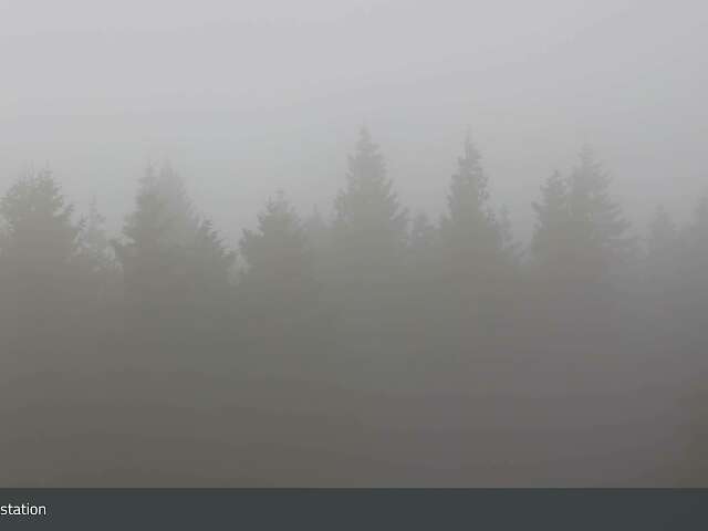 Klaffer am Hochficht