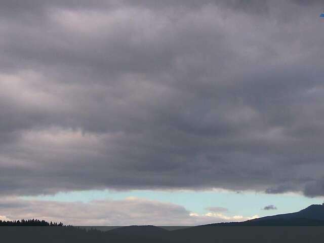 Bílá