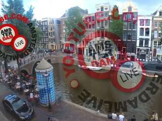 onkruid stap veiling bergfex - Webcam Oudezijdsvoorburgwal: Webcam Amsterdam - Cam