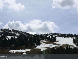 Rosenalm