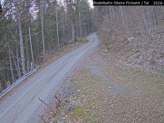 Obere Firstalm Rodelbahn