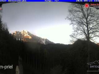 Trattenbacher GenussStubn