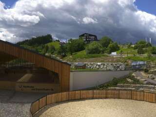 Allgäuer Berghof - Erlebnishof
