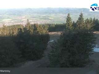 Winter Park Martinky